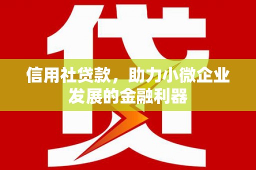 国姓信用社贷款，助力小微企业发展的金融利器