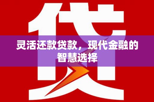 国姓灵活还款贷款，现代金融的智慧选择
