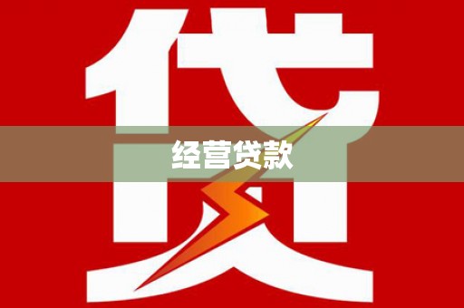 国姓经营贷款
