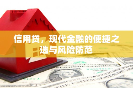 国姓信用贷，现代金融的便捷之选与风险防范