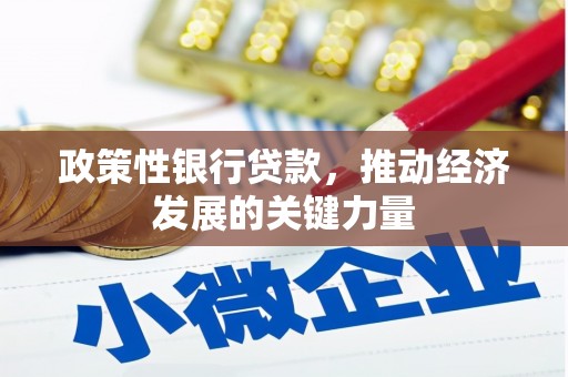 国姓政策性银行贷款，推动经济发展的关键力量