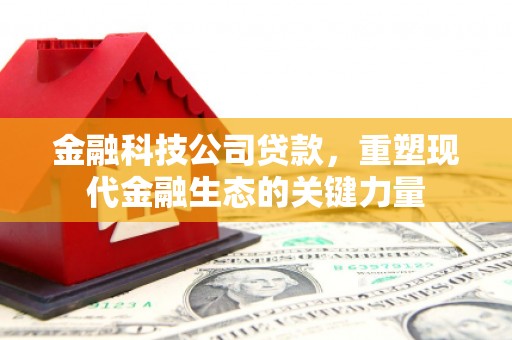 国姓金融科技公司贷款，重塑现代金融生态的关键力量