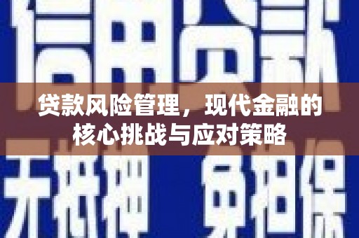 国姓贷款风险管理，现代金融的核心挑战与应对策略