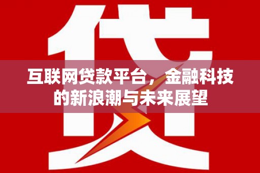 国姓互联网贷款平台，金融科技的新浪潮与未来展望