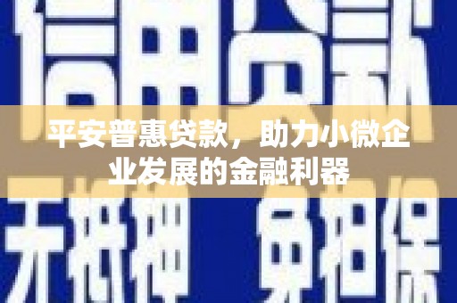 国姓平安普惠贷款，助力小微企业发展的金融利器