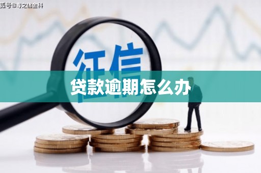 国姓贷款逾期怎么办