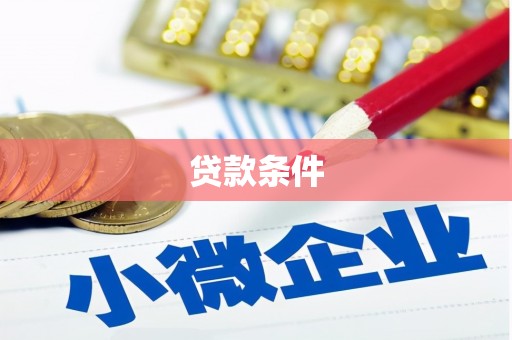 国姓贷款条件