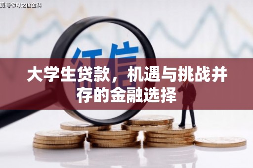 国姓大学生贷款，机遇与挑战并存的金融选择