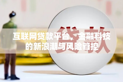国姓互联网贷款平台，金融科技的新浪潮与风险管控