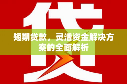 国姓短期贷款，灵活资金解决方案的全面解析