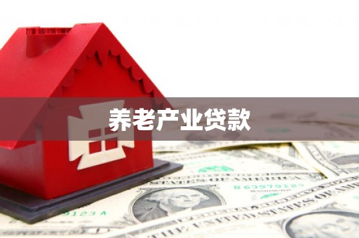 国姓养老产业贷款