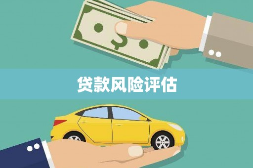 国姓贷款风险评估