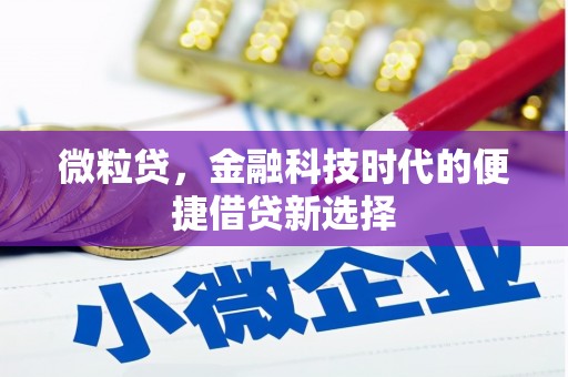 国姓微粒贷，金融科技时代的便捷借贷新选择