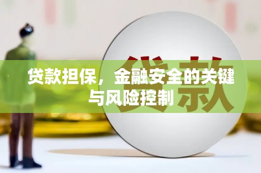 国姓贷款担保，金融安全的关键与风险控制