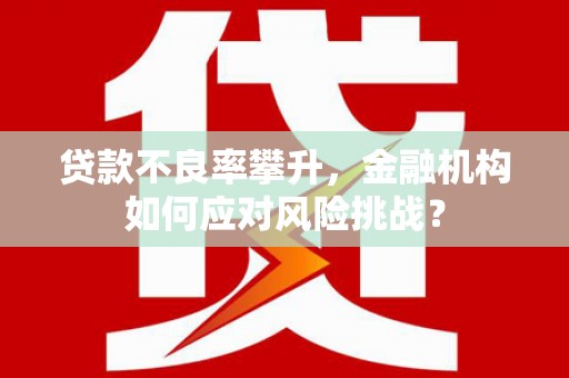 国姓贷款不良率攀升，金融机构如何应对风险挑战？