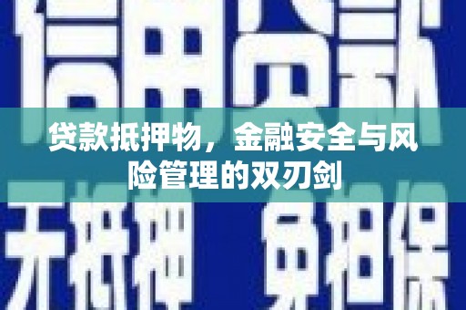 国姓贷款抵押物，金融安全与风险管理的双刃剑