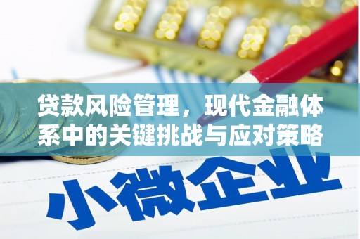 国姓贷款风险管理，现代金融体系中的关键挑战与应对策略