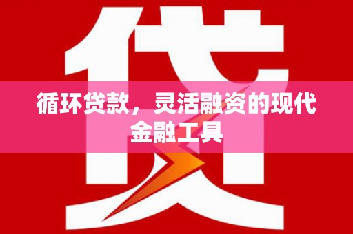 国姓循环贷款，灵活融资的现代金融工具