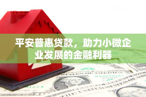 国姓平安普惠贷款，助力小微企业发展的金融利器