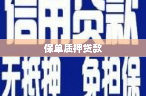 国姓保单质押贷款