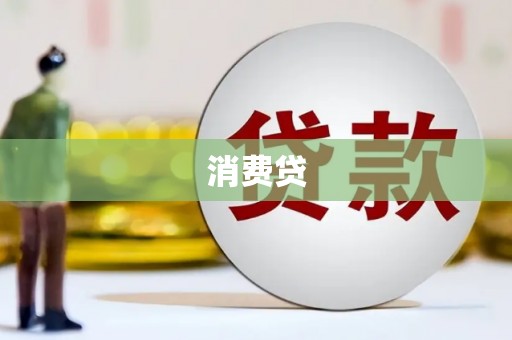 国姓消费贷