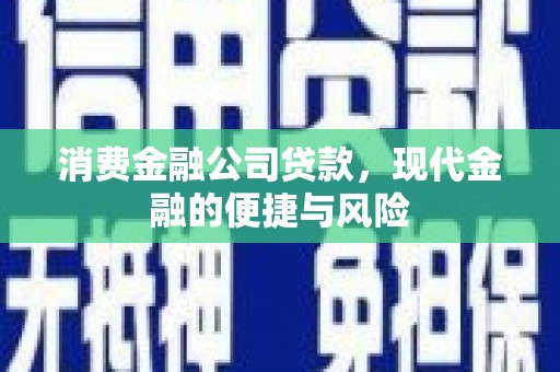 国姓消费金融公司贷款，现代金融的便捷与风险