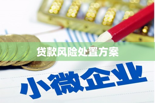 国姓贷款风险处置方案