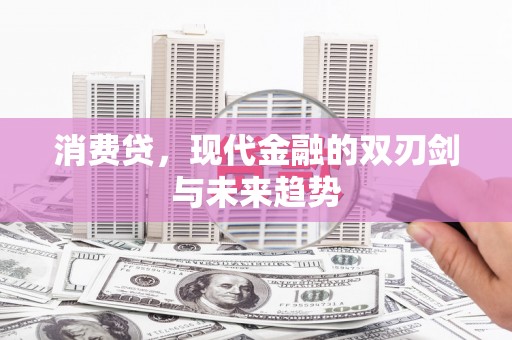 国姓消费贷，现代金融的双刃剑与未来趋势