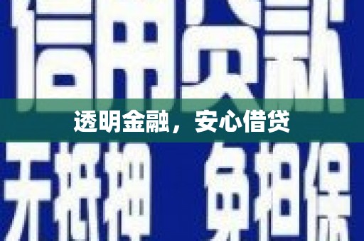 国姓透明金融，安心借贷