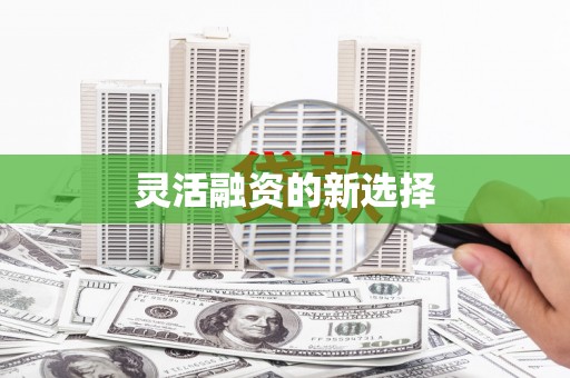 国姓灵活融资的新选择