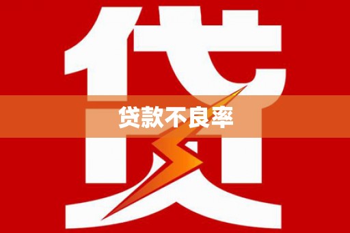 国姓贷款不良率