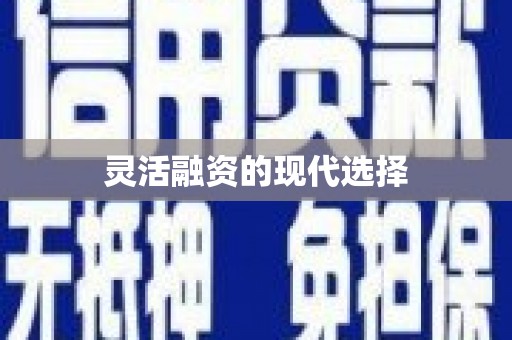 国姓灵活融资的现代选择