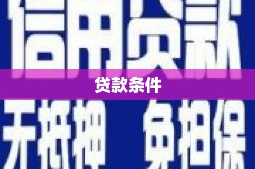 国姓贷款条件