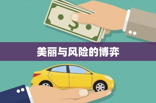 国姓美丽与风险的博弈