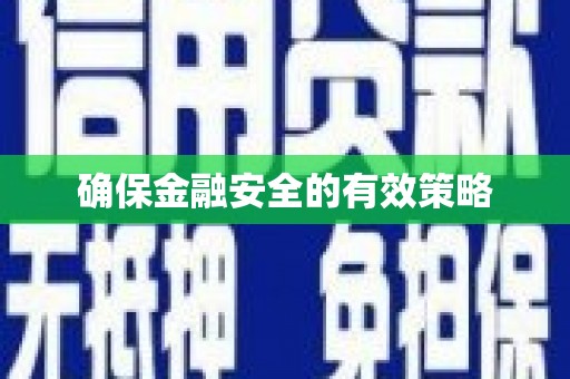 国姓确保金融安全的有效策略