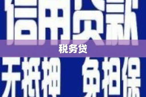 国姓税务贷