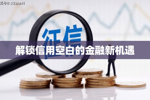 国姓解锁信用空白的金融新机遇