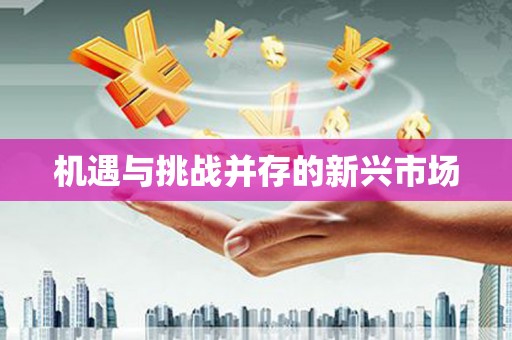 国姓机遇与挑战并存的新兴市场