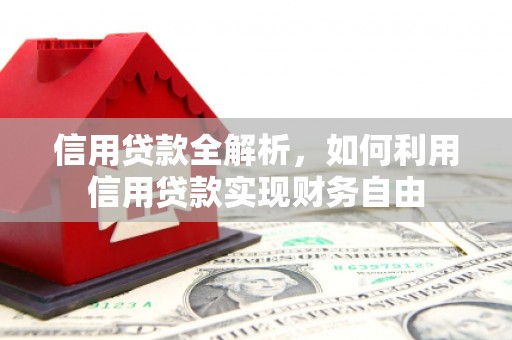 国姓信用贷款全解析，如何利用信用贷款实现财务自由