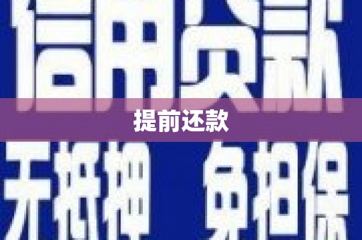 国姓提前还款