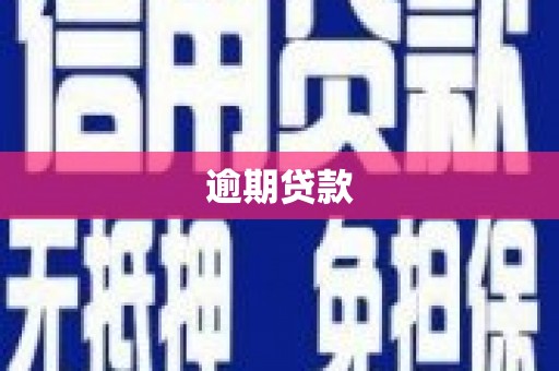 国姓逾期贷款