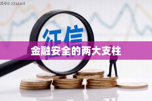 国姓金融安全的两大支柱
