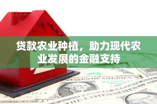 国姓贷款农业种植，助力现代农业发展的金融支持