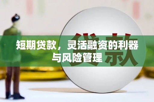 国姓短期贷款，灵活融资的利器与风险管理