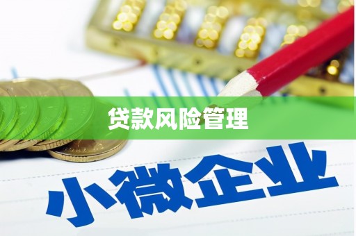 国姓贷款风险管理
