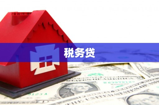 国姓税务贷